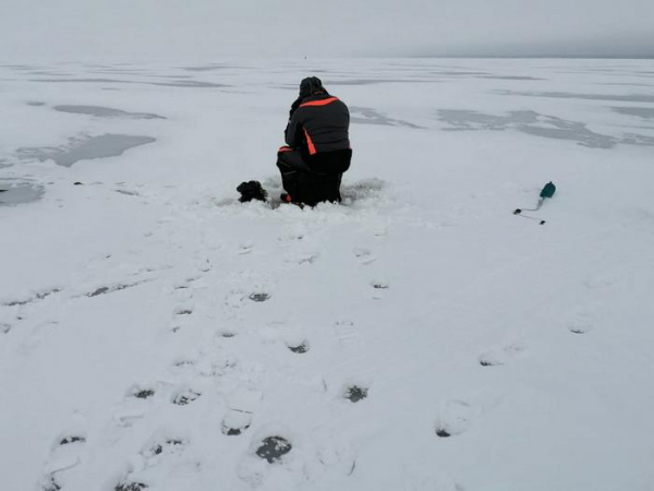Мониторинговые исследования любительского рыболовства на Чудско-Псковском озере