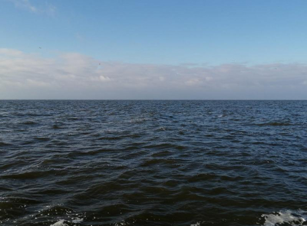 Завершение исследовательского сезона на Чудско-Псковском озере