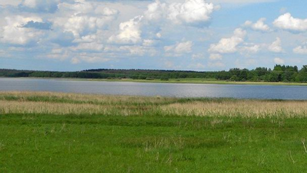 Обследование озера Белая Струга