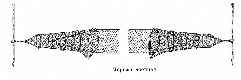 мережа генйеман